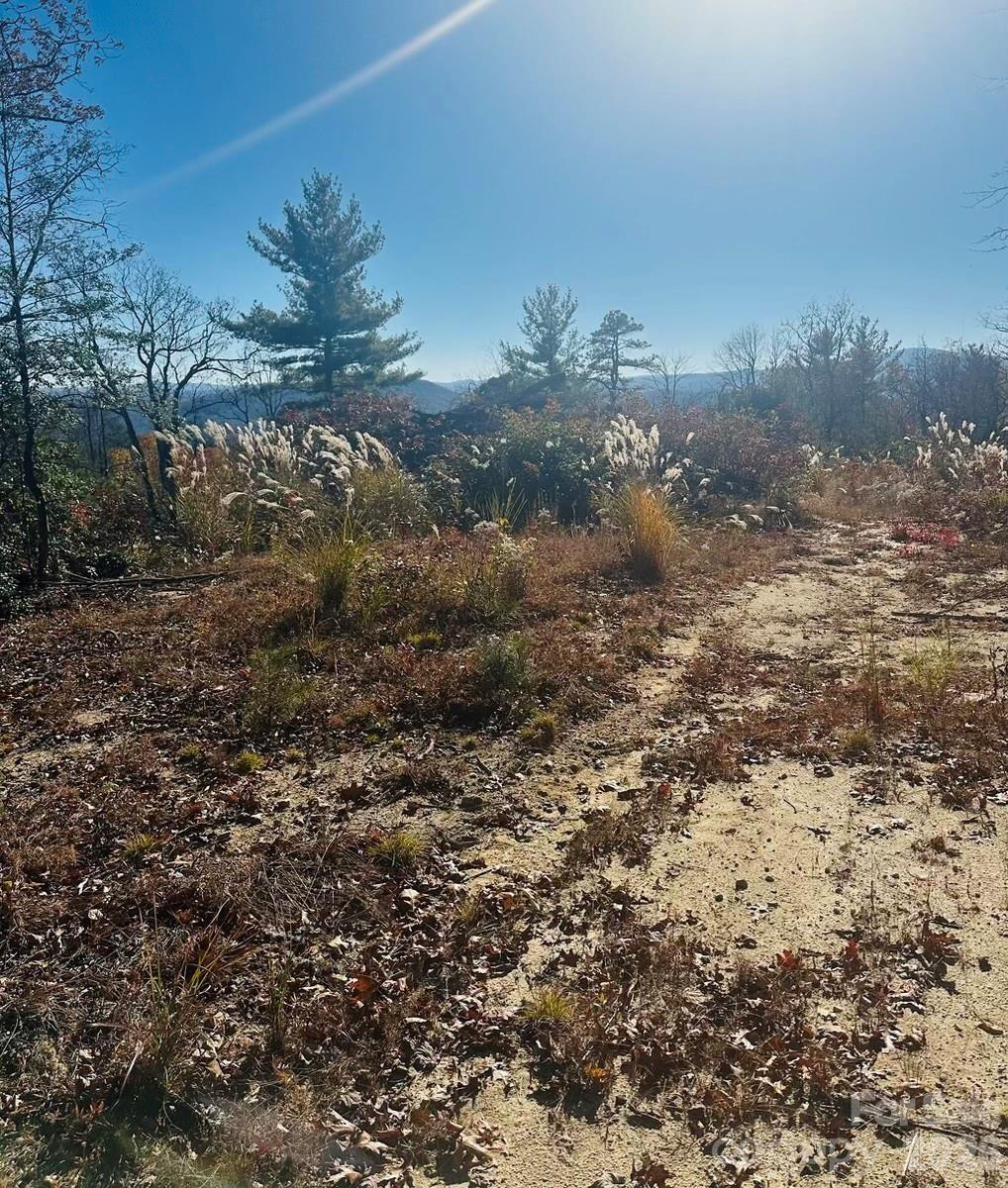 9999 Bulling Creek Road - Photo 4