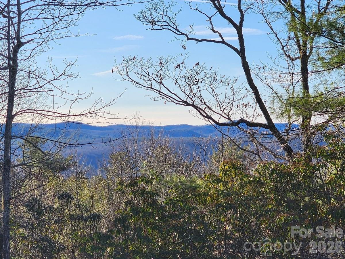 9999 Bulling Creek Road - Photo 5