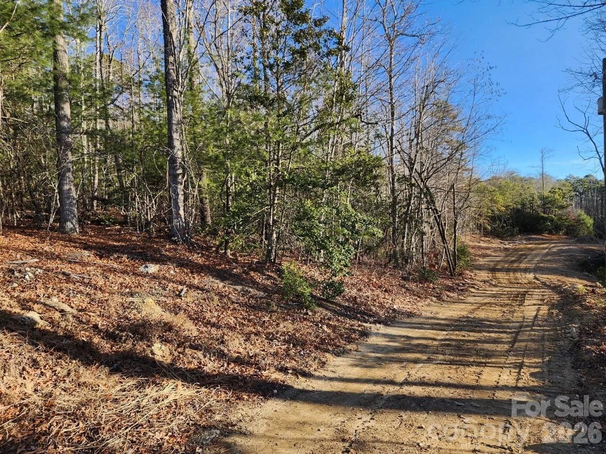 9999 Bulling Creek Road - Photo 6
