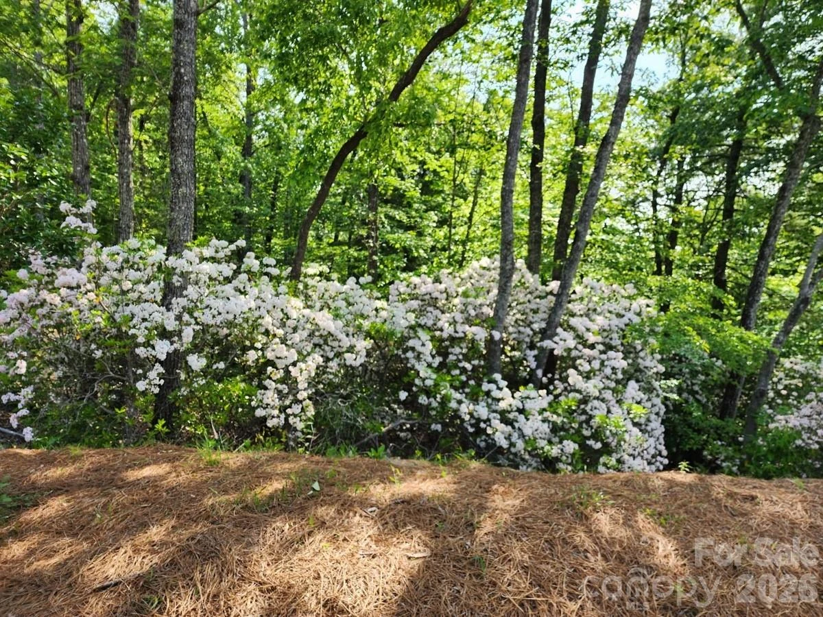 9999 Bulling Creek Road - Photo 7