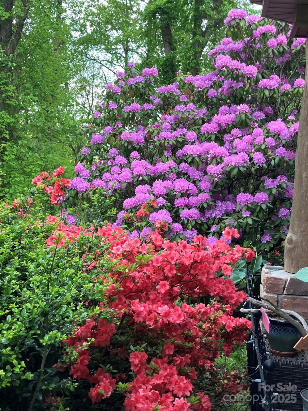 571 Terrys Gap Road - Photo 41