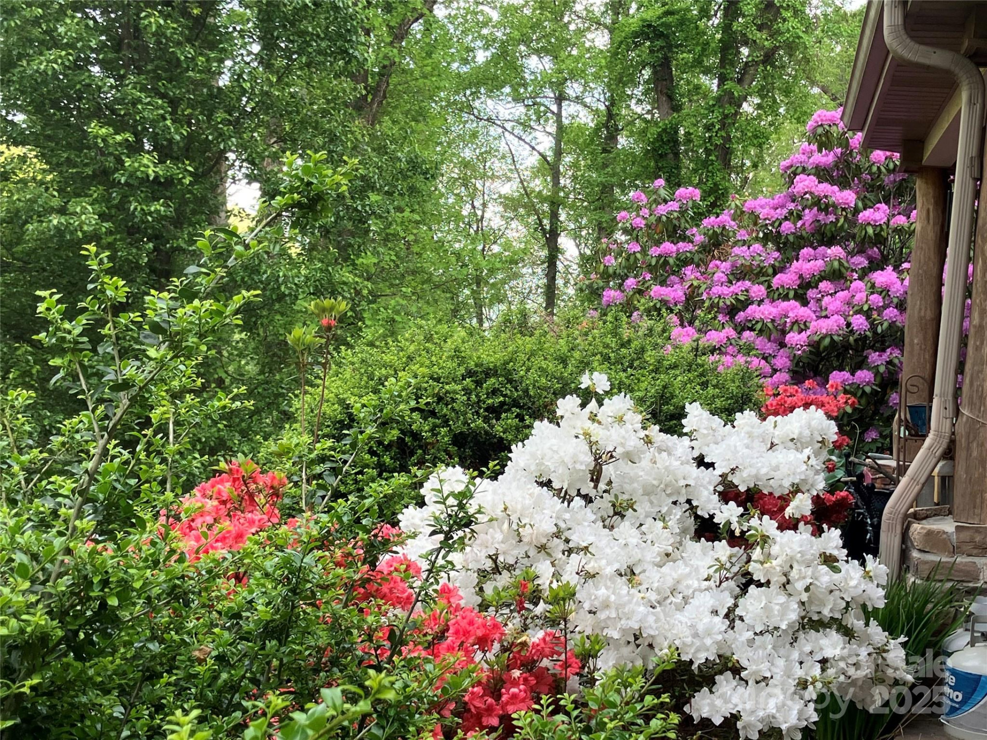 571 Terrys Gap Road - Photo 43