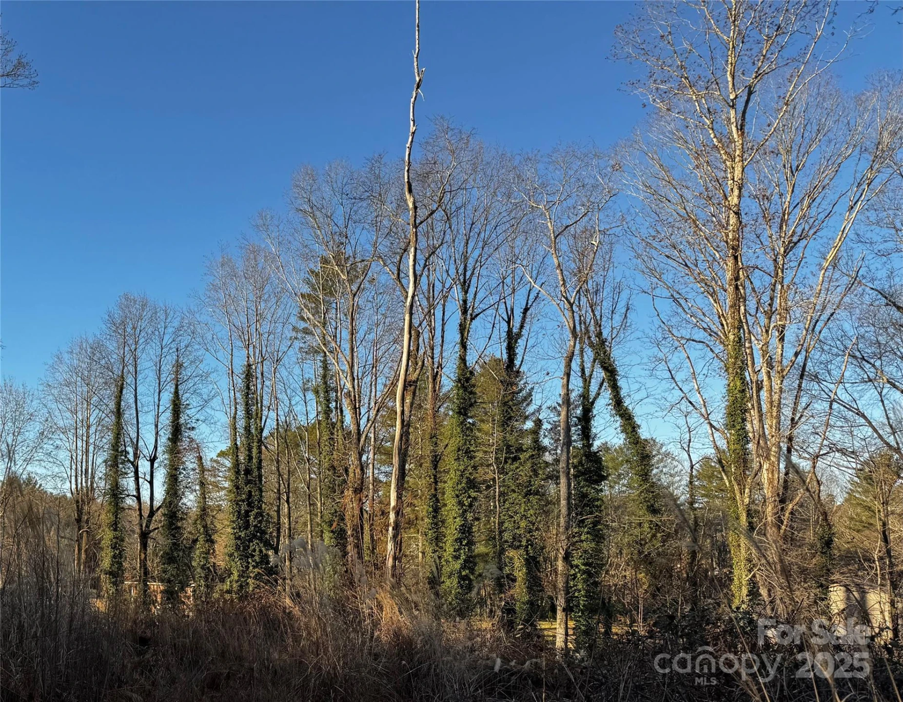 00 Westview Drive #14