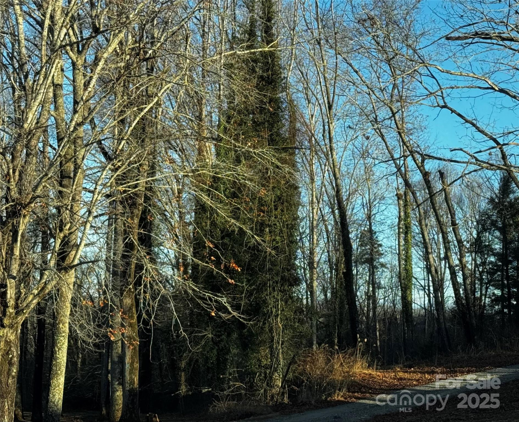 00 Westview Drive #14 - Photo 2