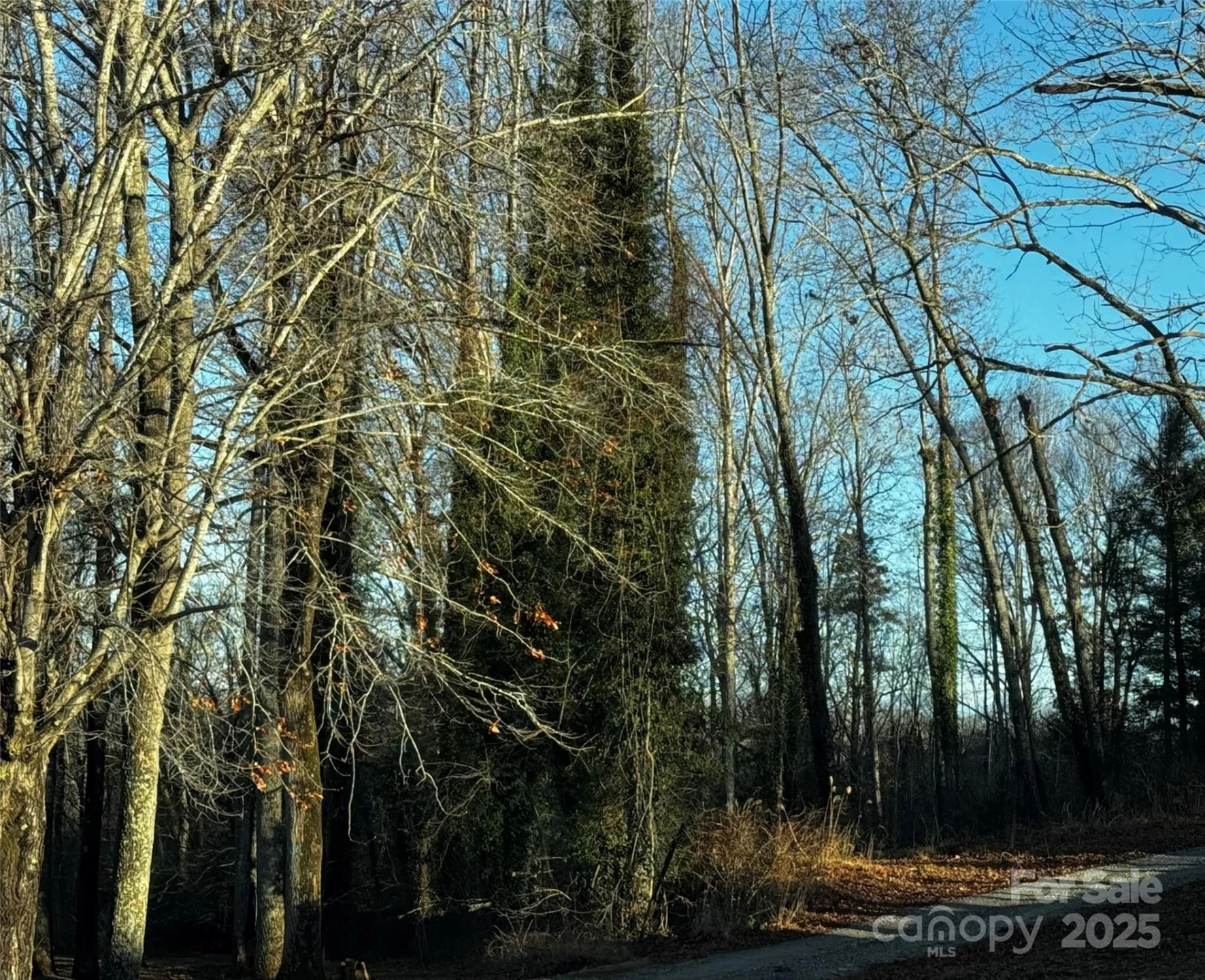 00 Westview Drive #14 - Photo 2