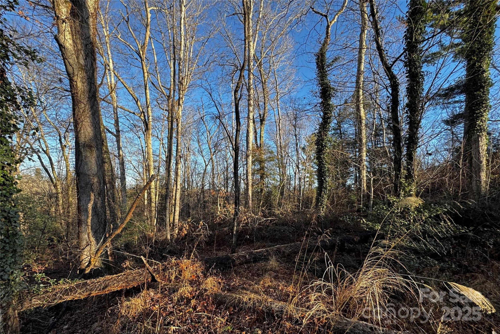 00 Westview Drive #14 - Photo 12