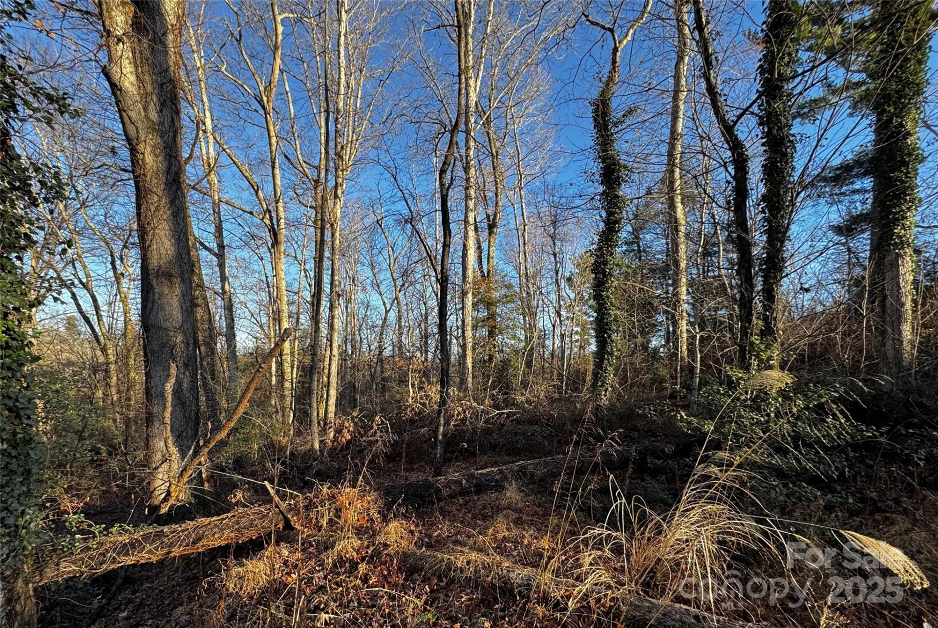 00 Westview Drive #14 - Photo 12