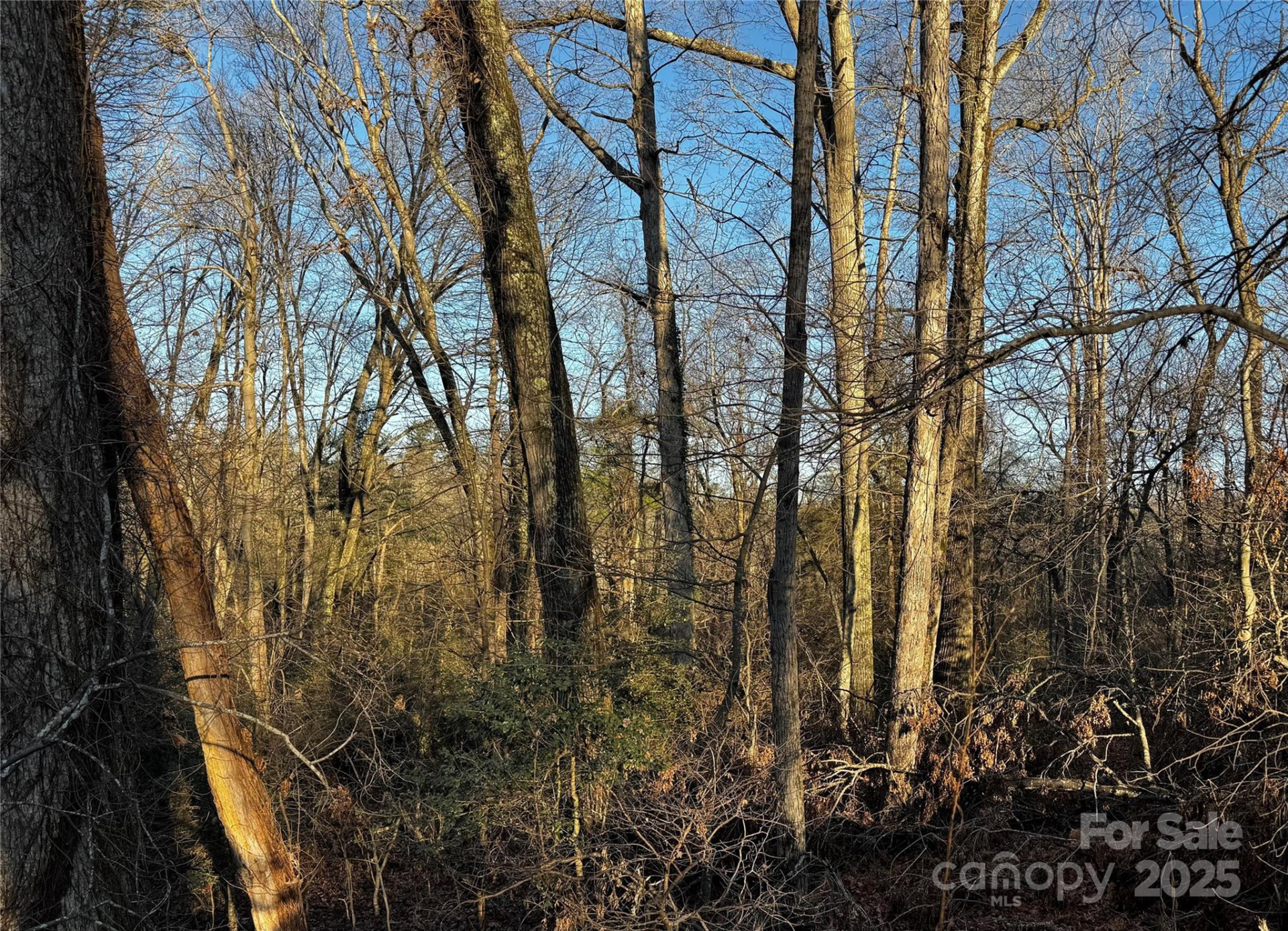 00 Westview Drive #14 - Photo 13