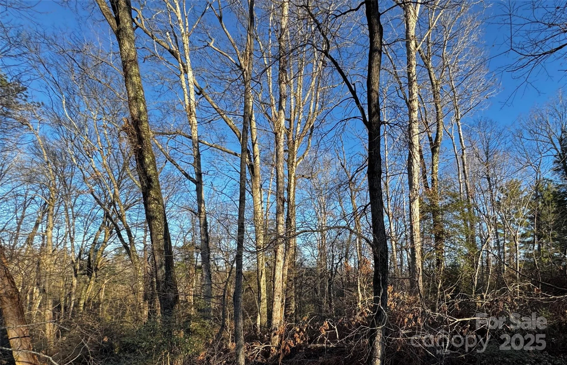 00 Westview Drive #14 - Photo 14