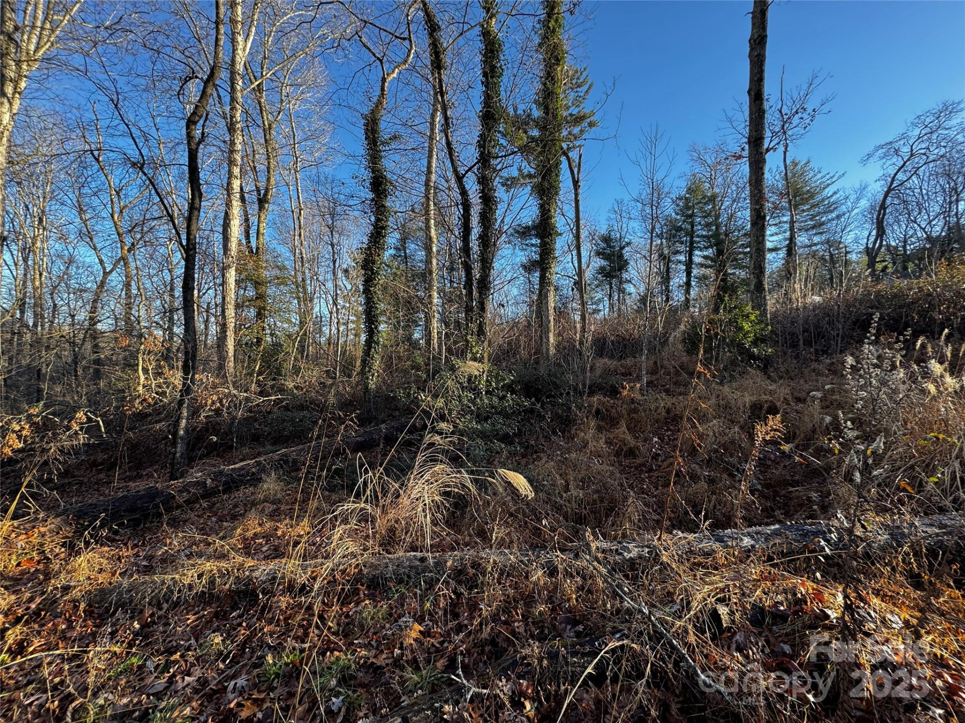 00 Westview Drive #14 - Photo 15