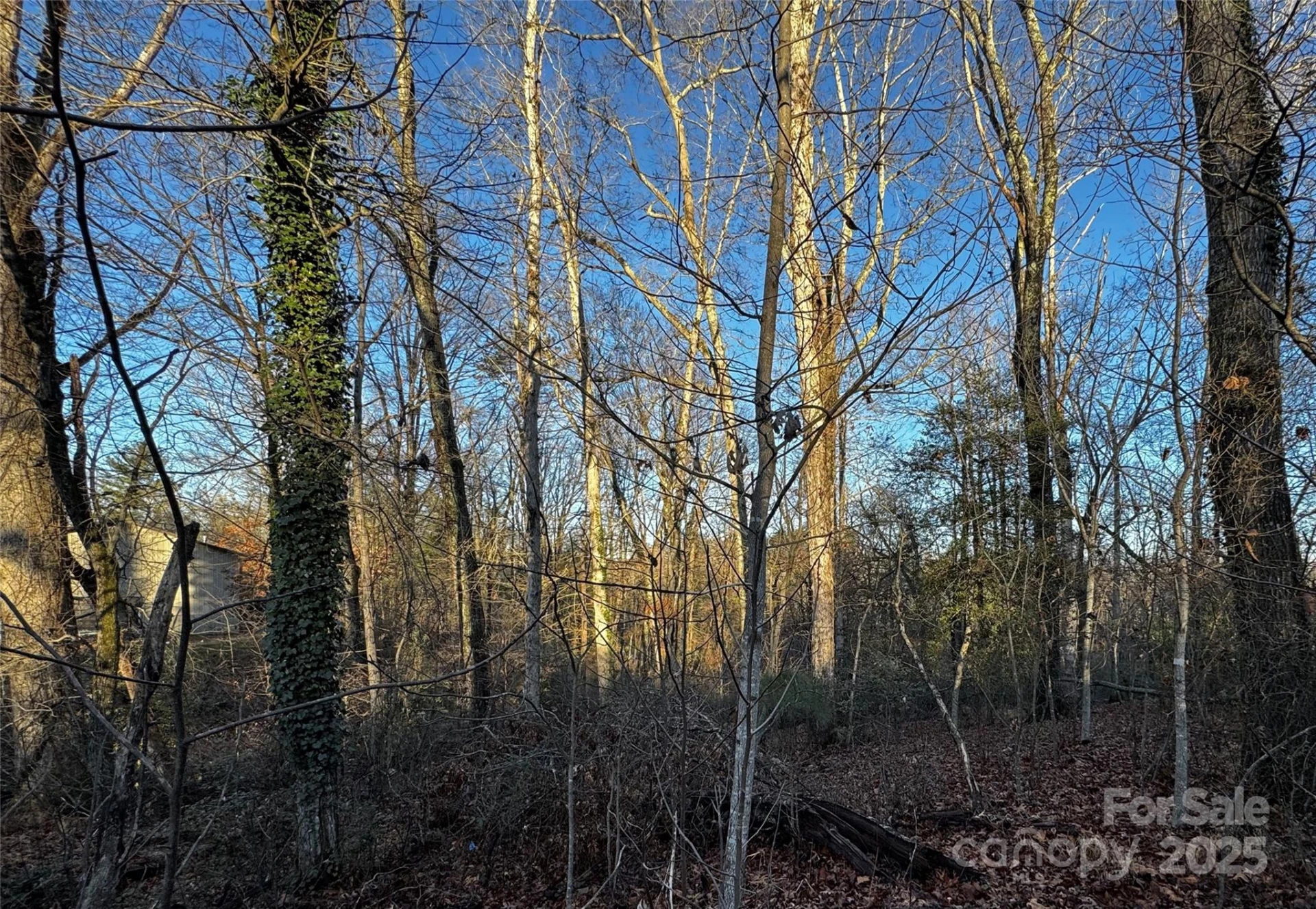 00 Westview Drive #14 - Photo 3