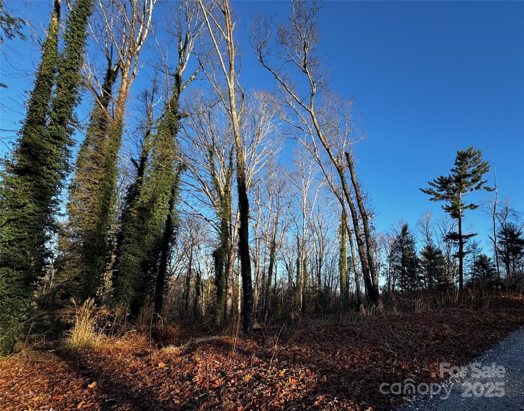 00 Westview Drive #14 - Photo 4