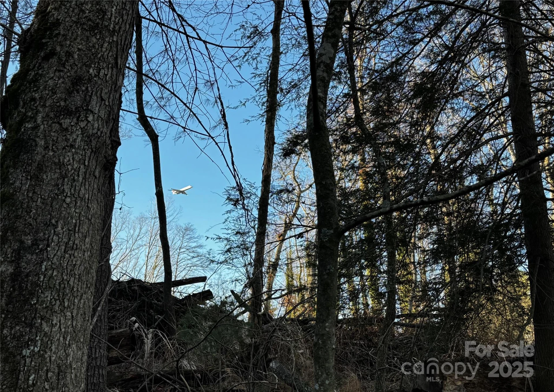 00 Westview Drive #14 - Photo 6