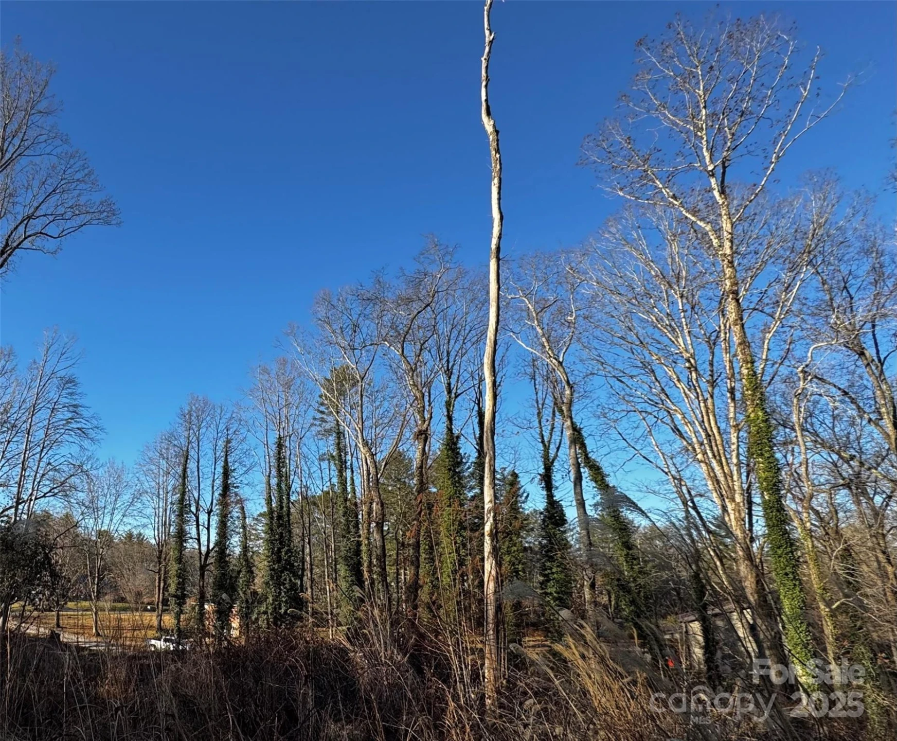 00 Westview Drive #14 - Photo 9