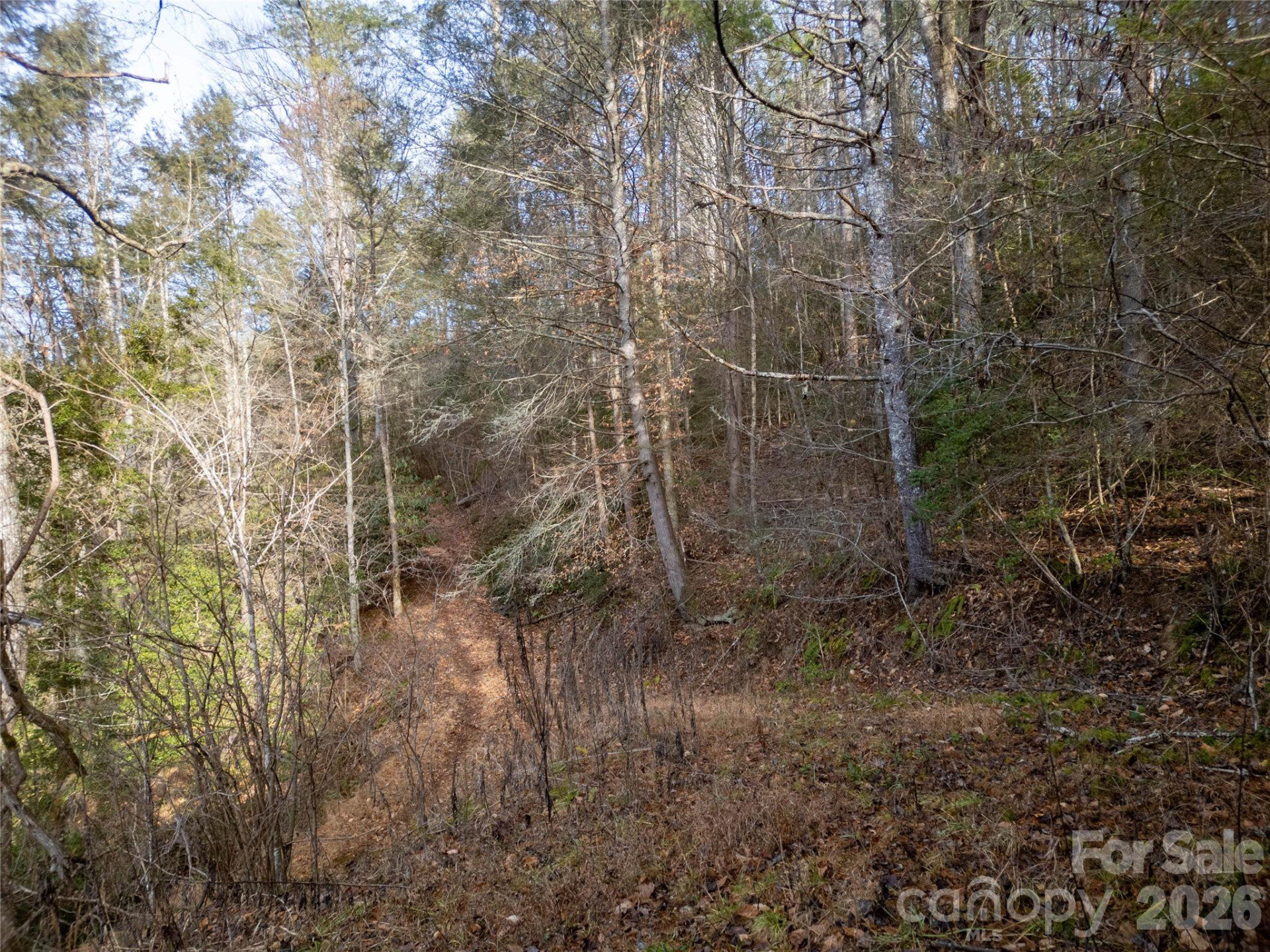 1573 Revere Road - Photo 14