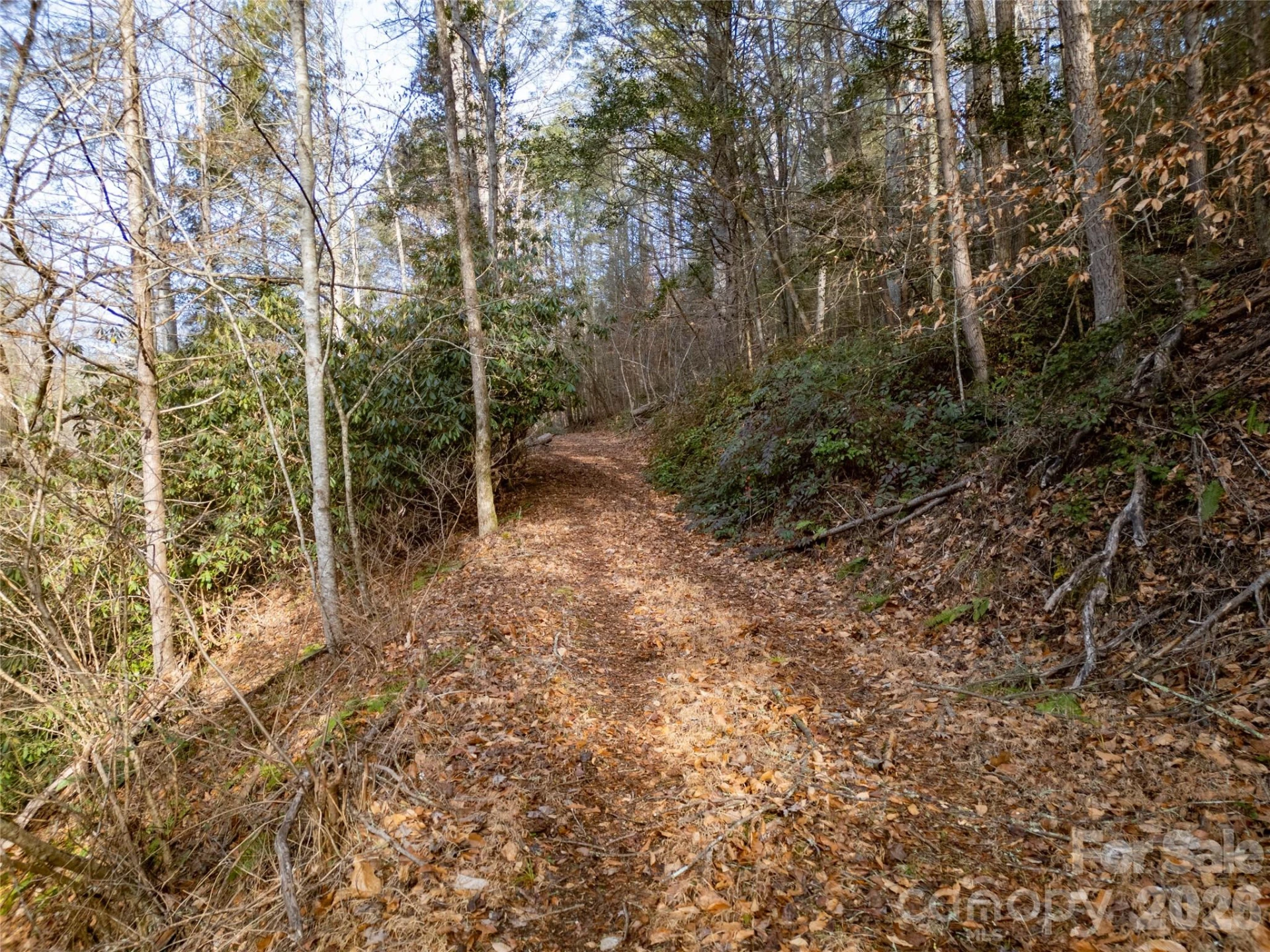 1573 Revere Road - Photo 15