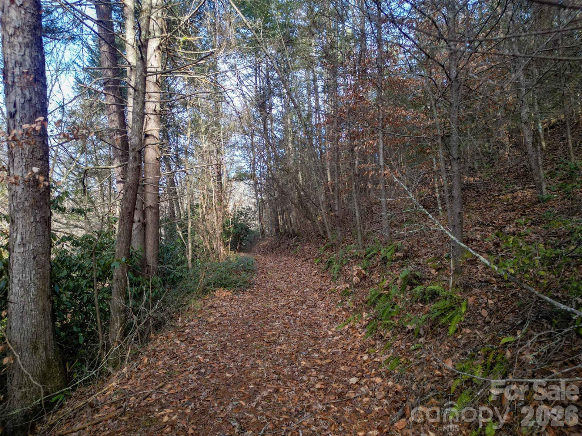 1573 Revere Road - Photo 17