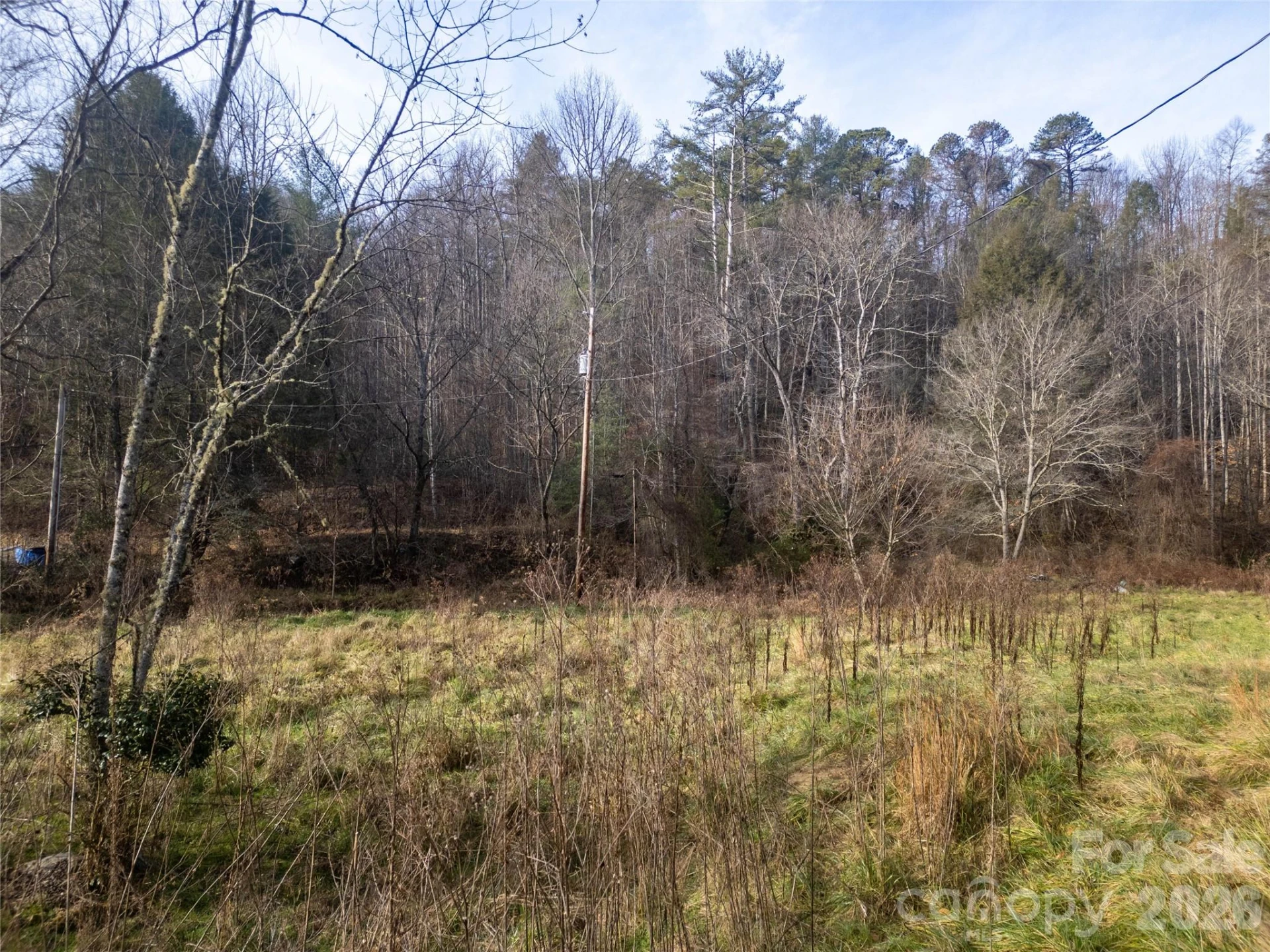 1573 Revere Road - Photo 10