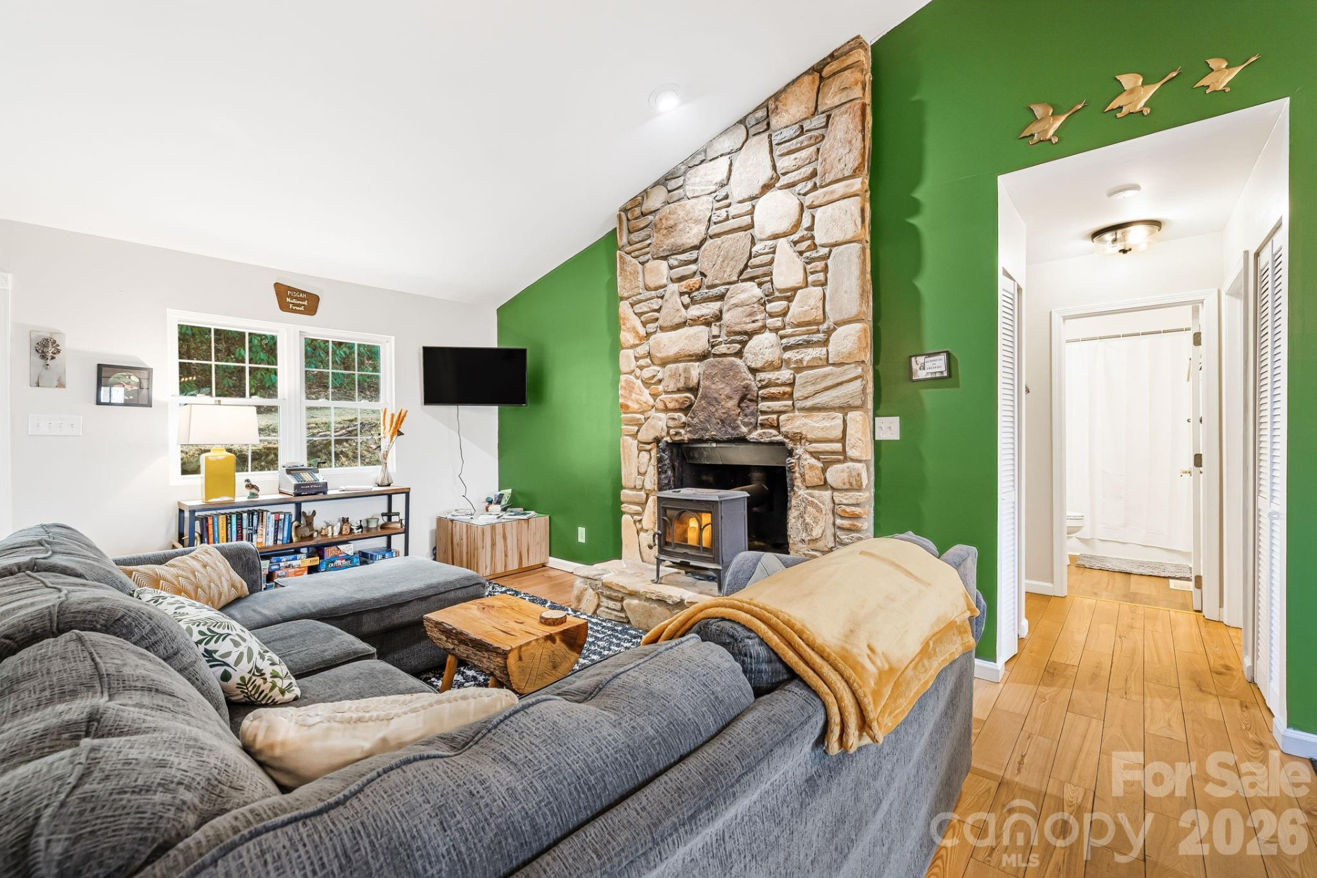 741 Three Mile Knob Road - Photo 9