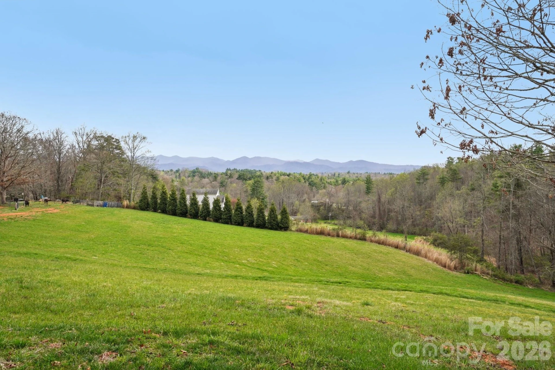 107 Lee Lane - Photo 44