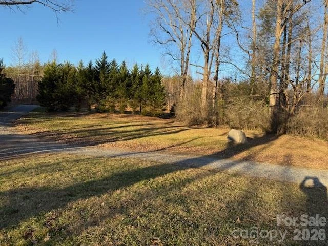 1047 US 64/74A Highway - Photo 3