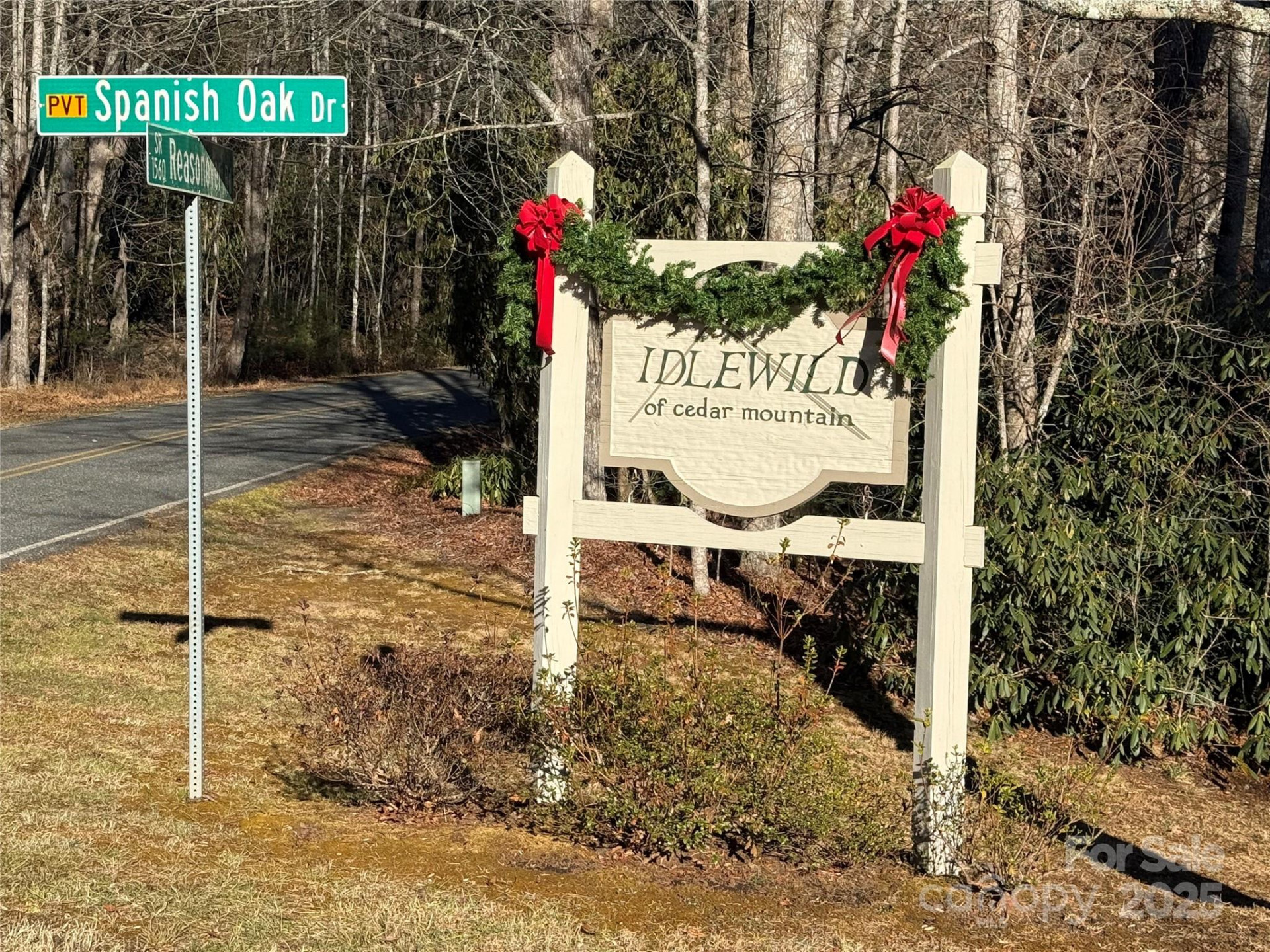 V/L Spanish Oak Drive #9 - Photo 2