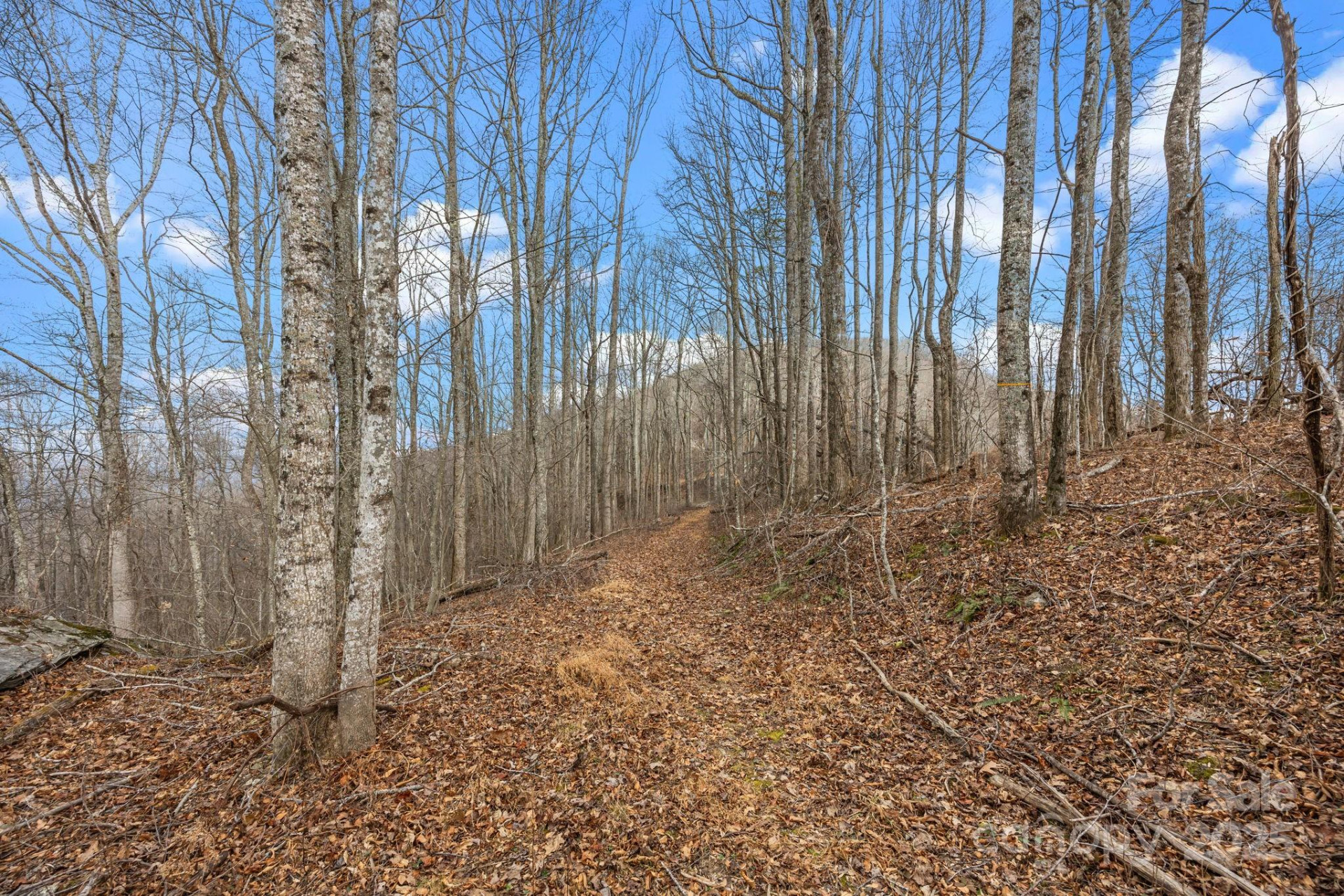 000 Christian Creek Road - Photo 19