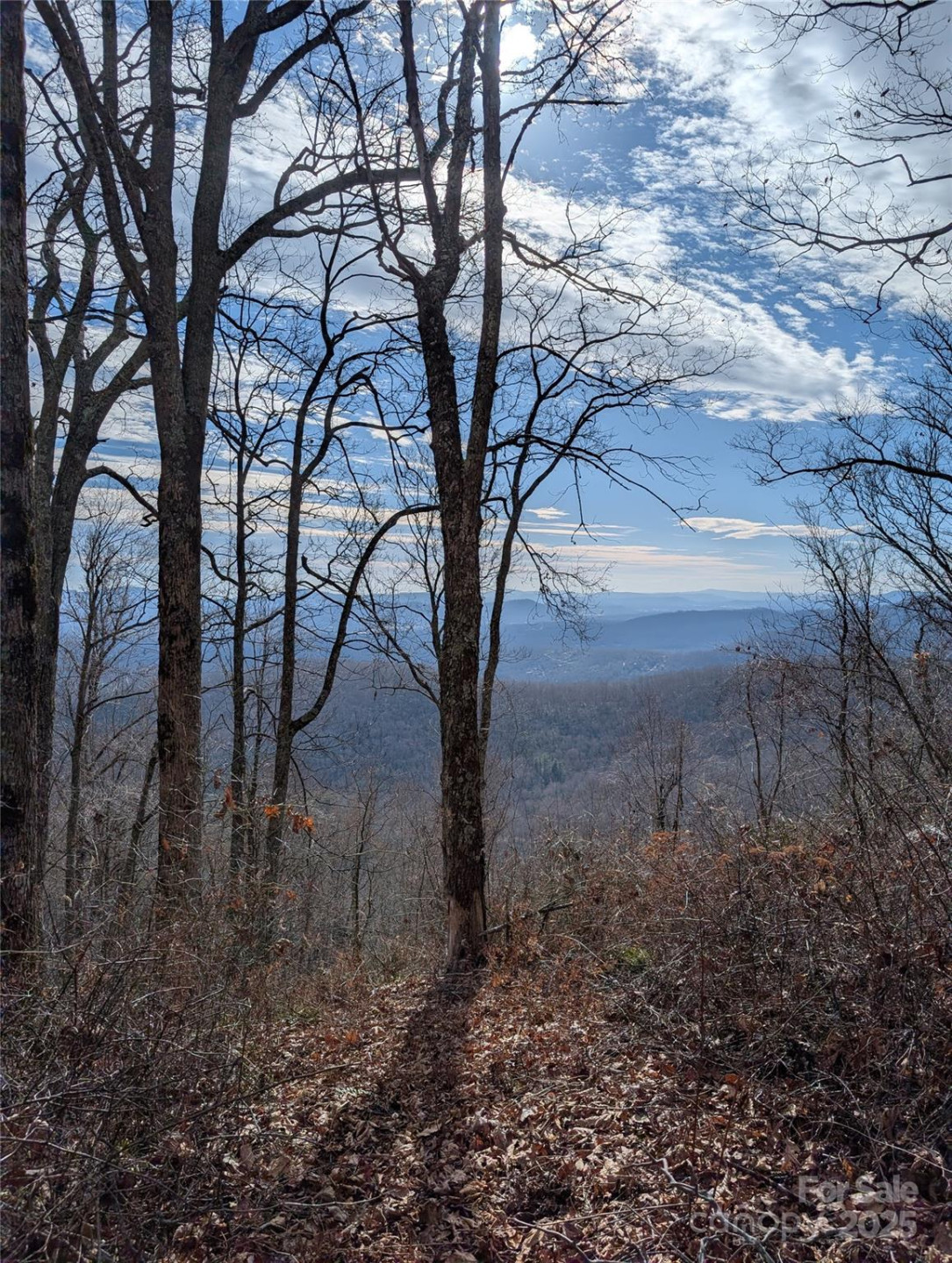 000 Christian Creek Road - Photo 4