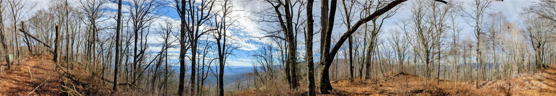 000 Christian Creek Road - Photo 5