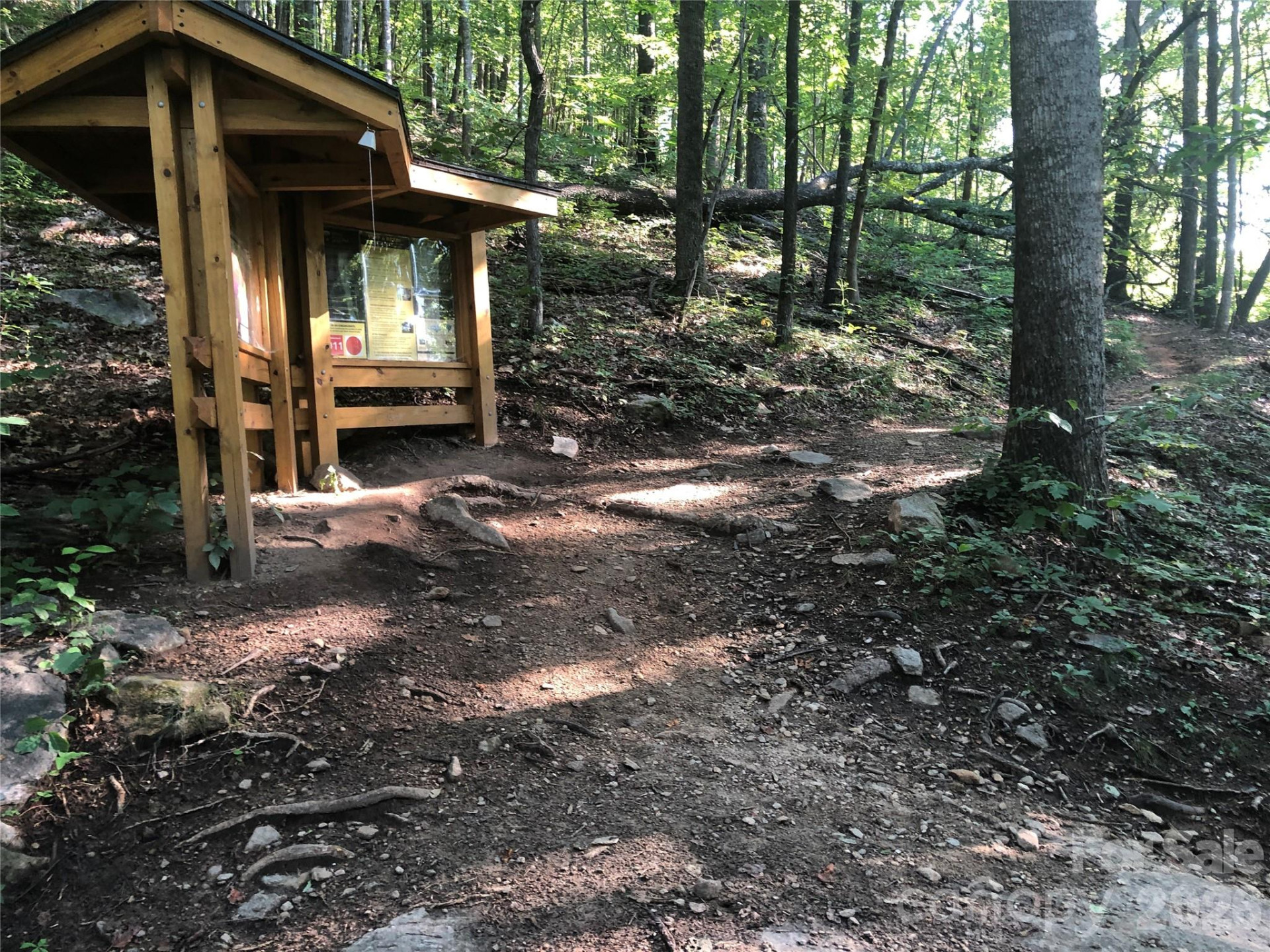 111 Buckeye Road - Photo 51