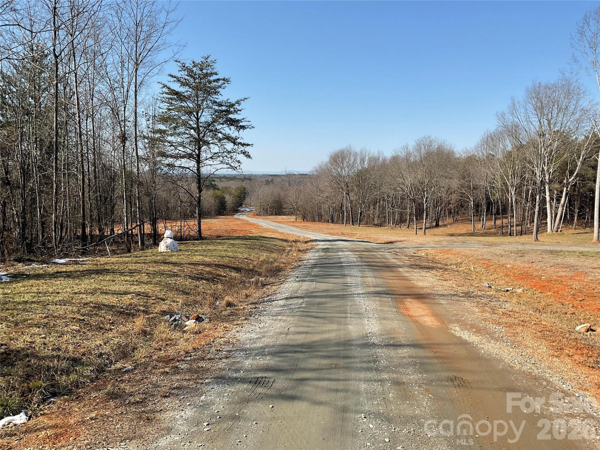 0 Springbrook Lane - Photo 2