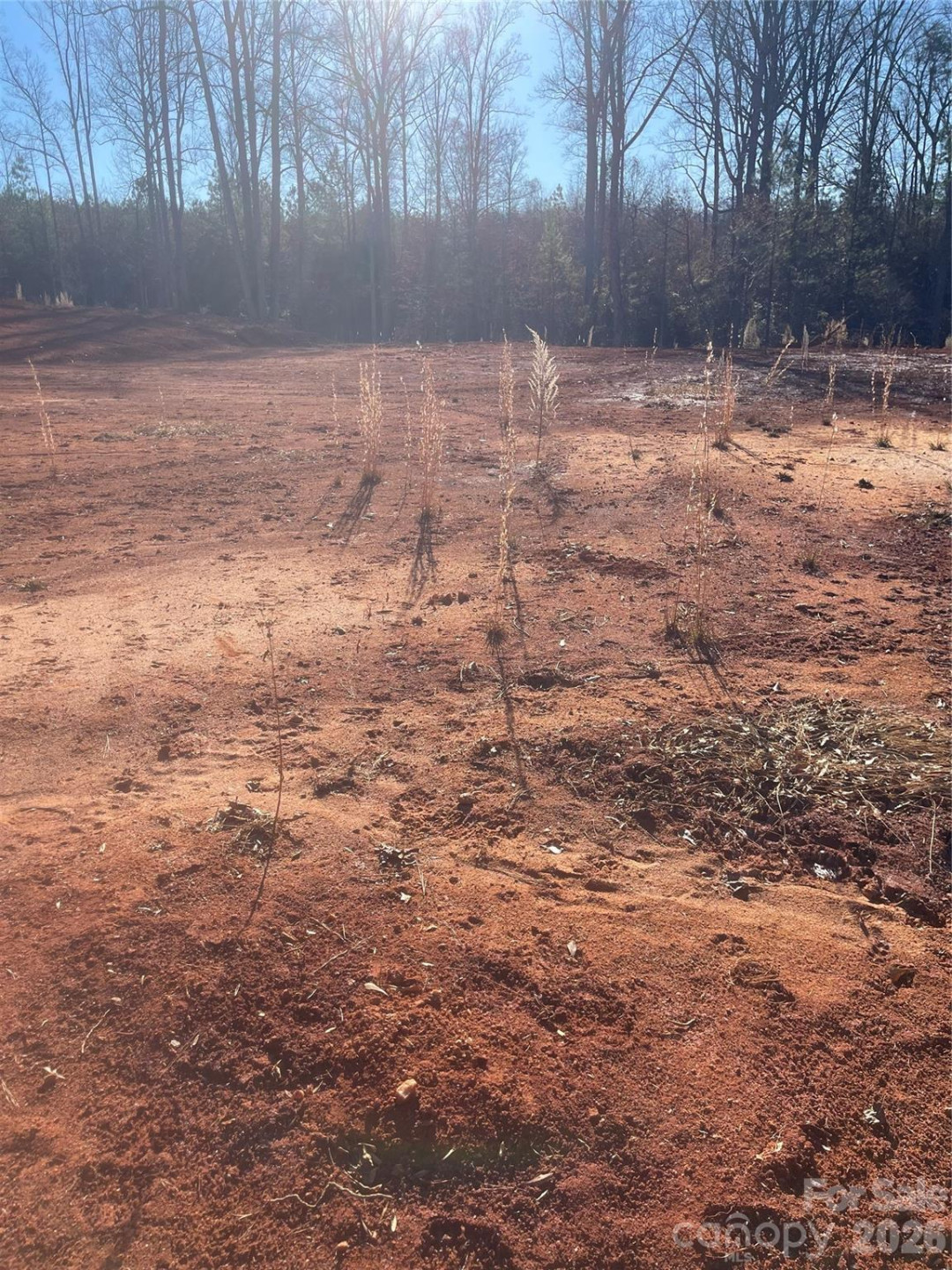 0 Springbrook Lane - Photo 11