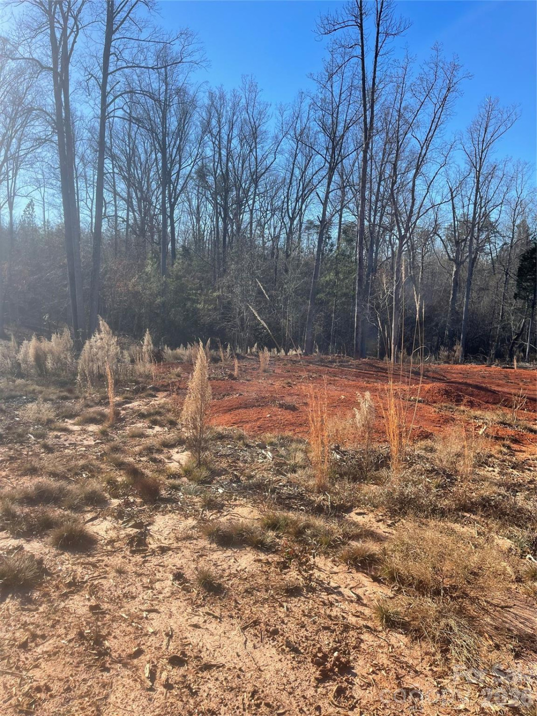 0 Springbrook Lane - Photo 12