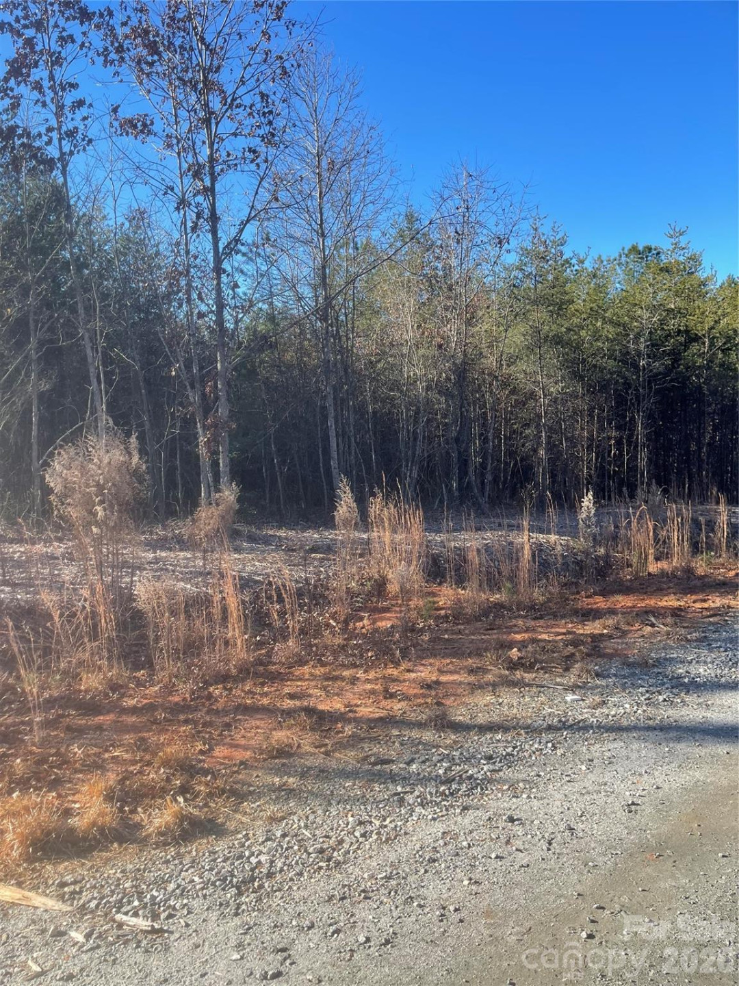 0 Springbrook Lane - Photo 15