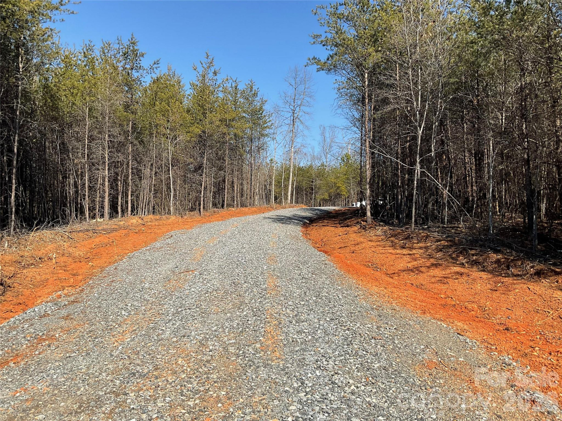 0 Springbrook Lane - Photo 5