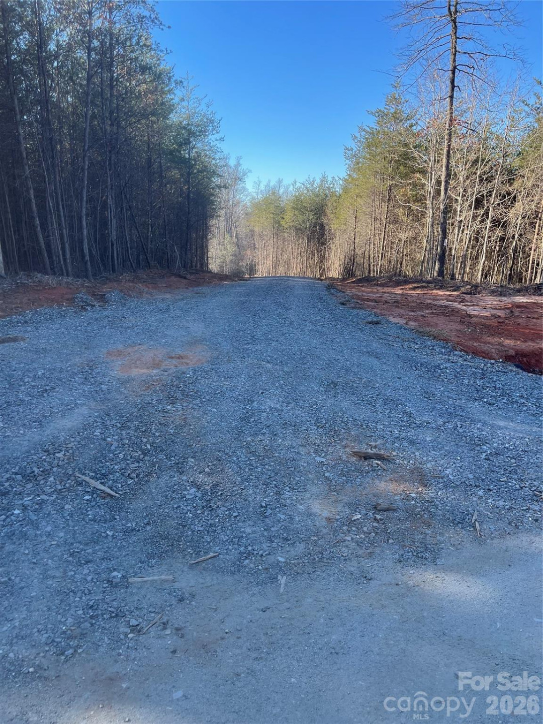 0 Springbrook Lane - Photo 8