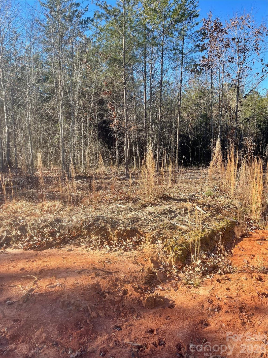 0 Springbrook Lane - Photo 9