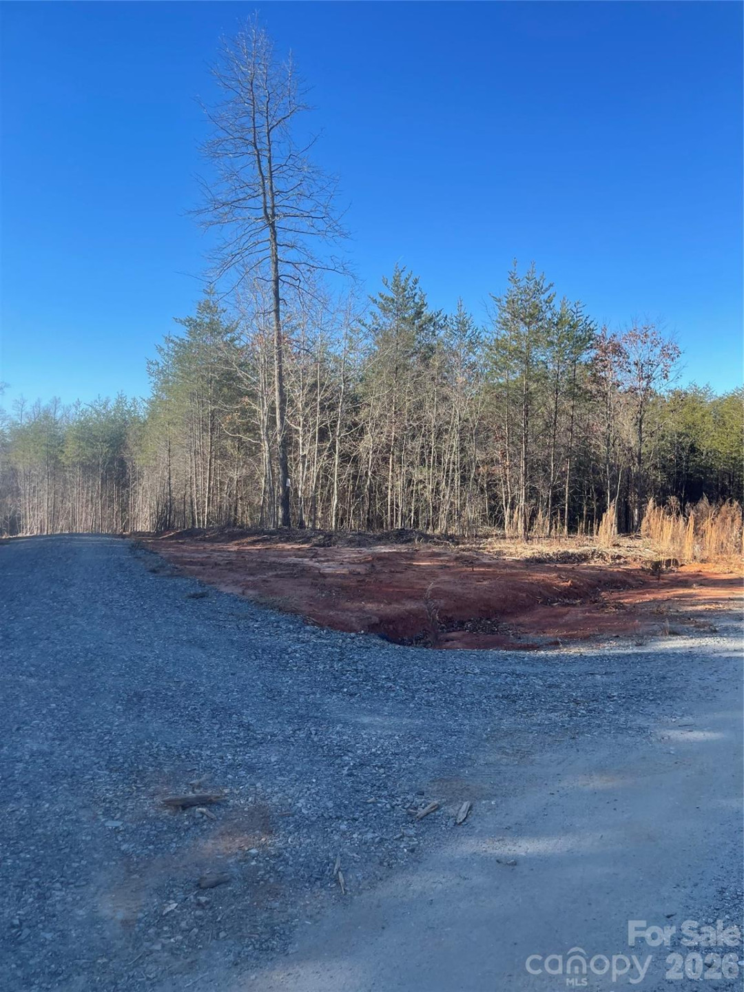 0 Springbrook Lane - Photo 10