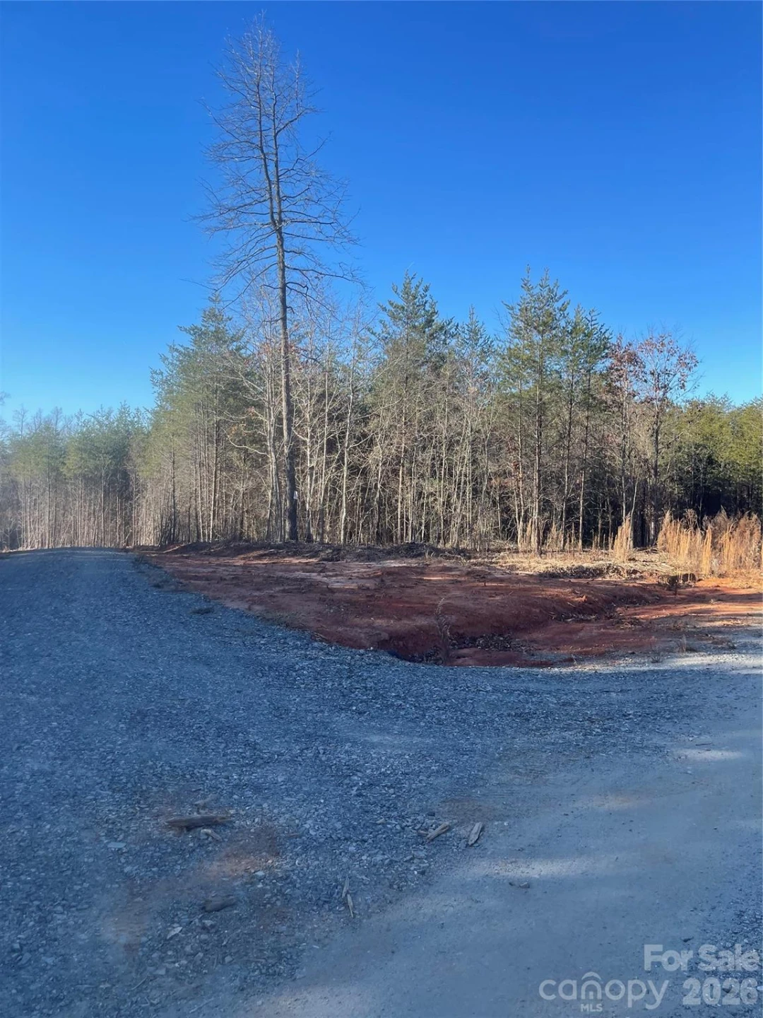 0 Springbrook Lane - Photo 10