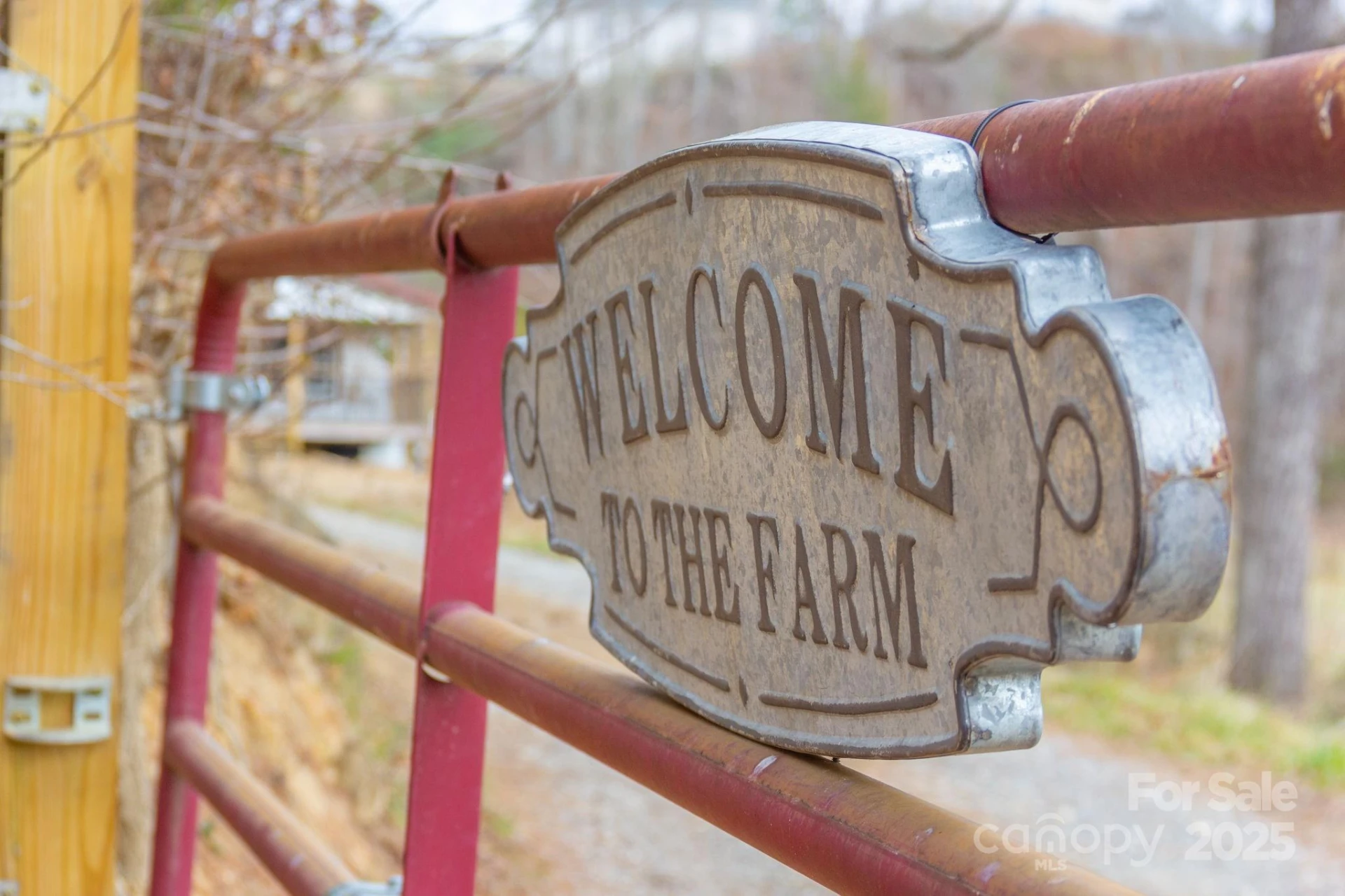 1108 Jenkins Valley Road - Photo 4