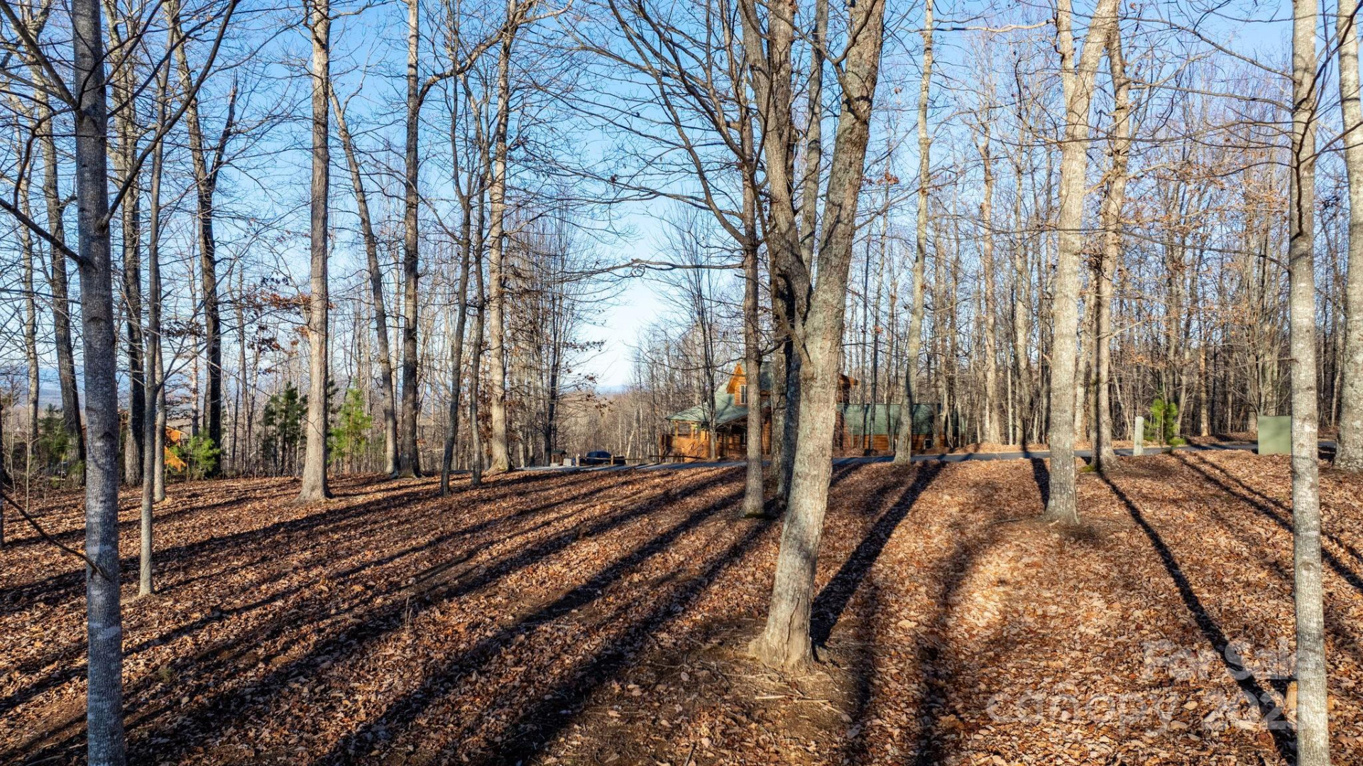 183 Woodgate Trail #103 - Photo 11