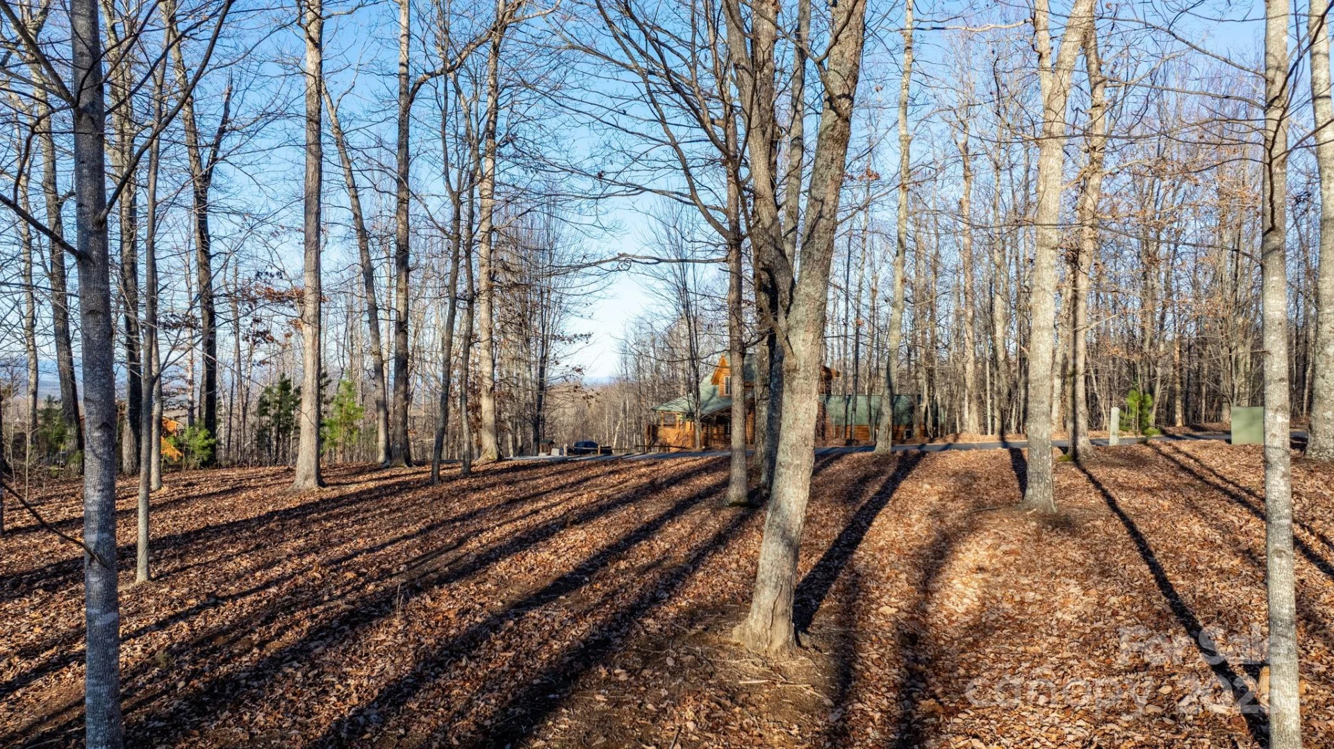 183 Woodgate Trail #103 - Photo 11