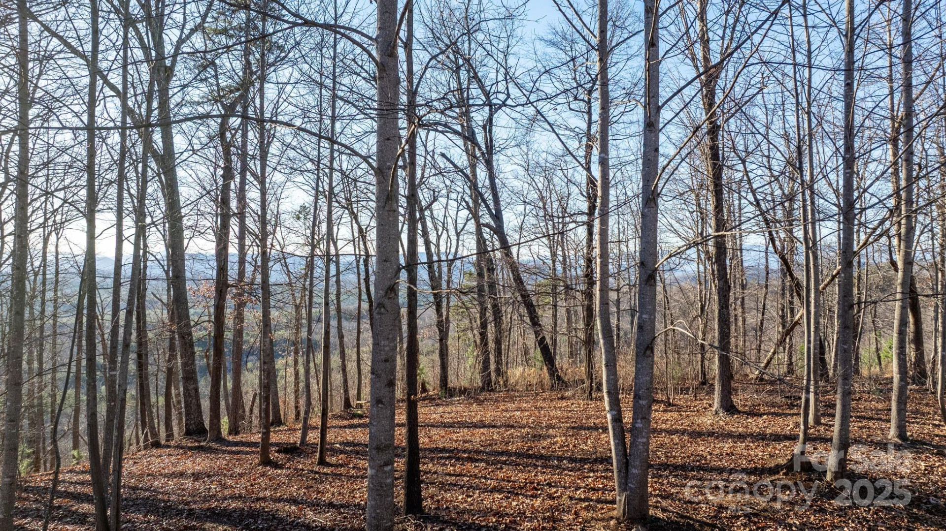 183 Woodgate Trail #103 - Photo 13