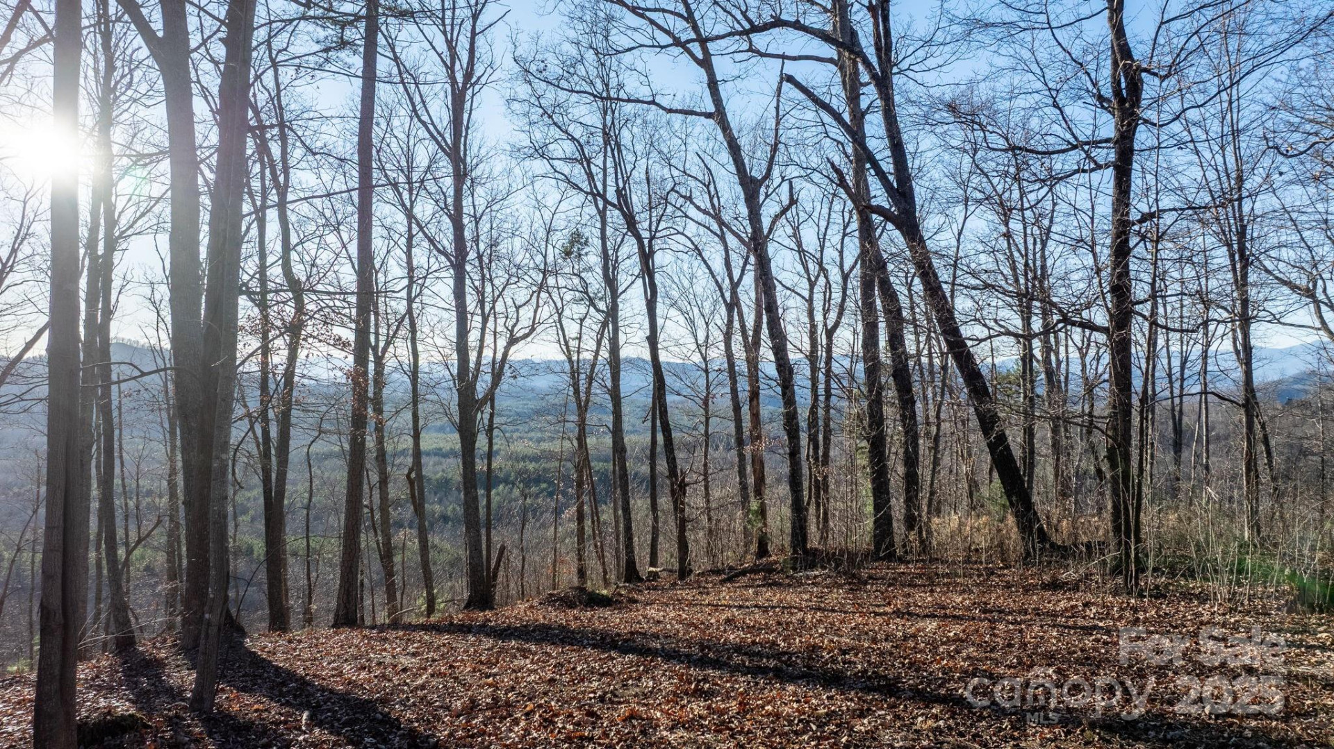 183 Woodgate Trail #103 - Photo 14