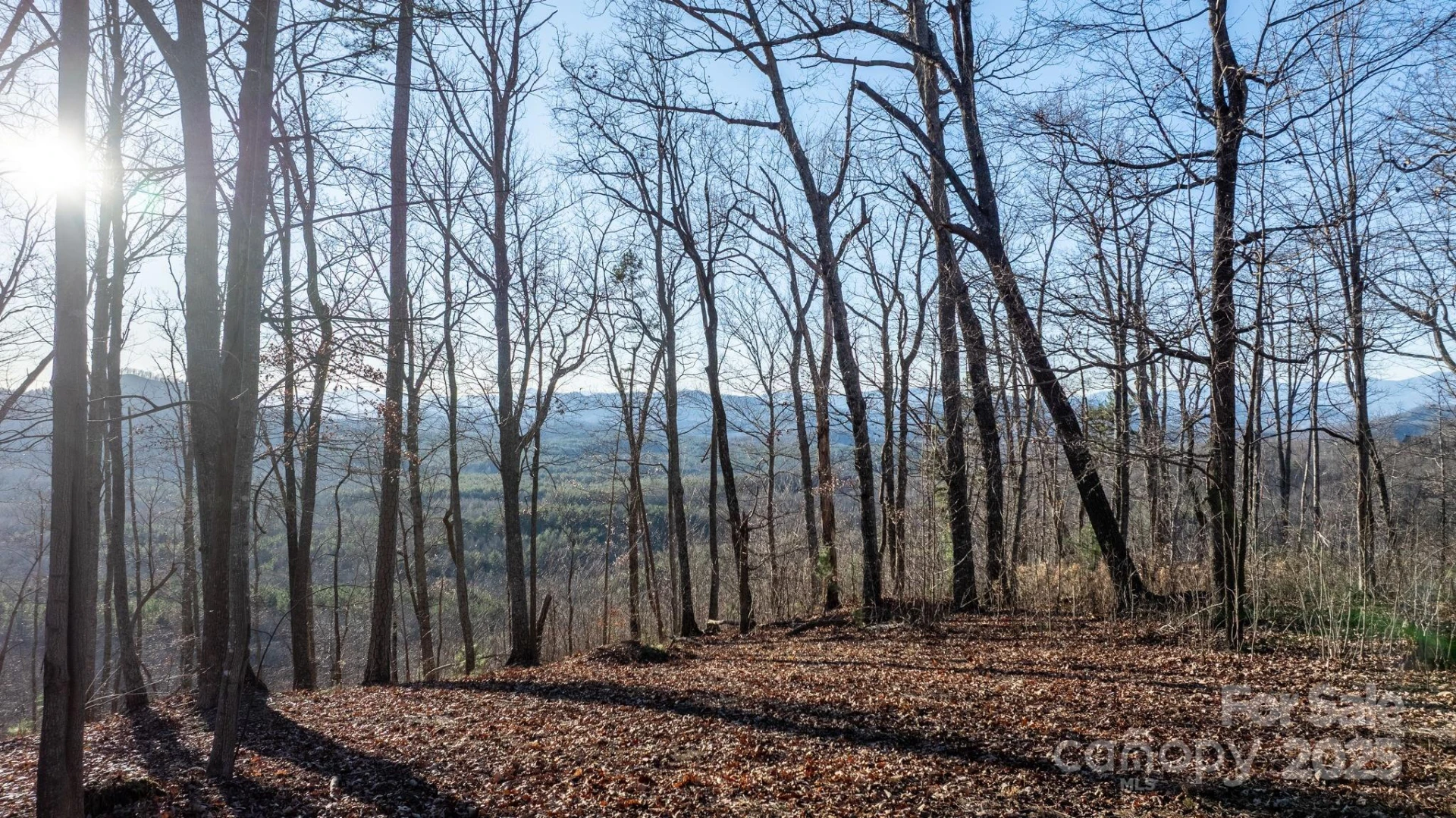 183 Woodgate Trail #103 - Photo 14
