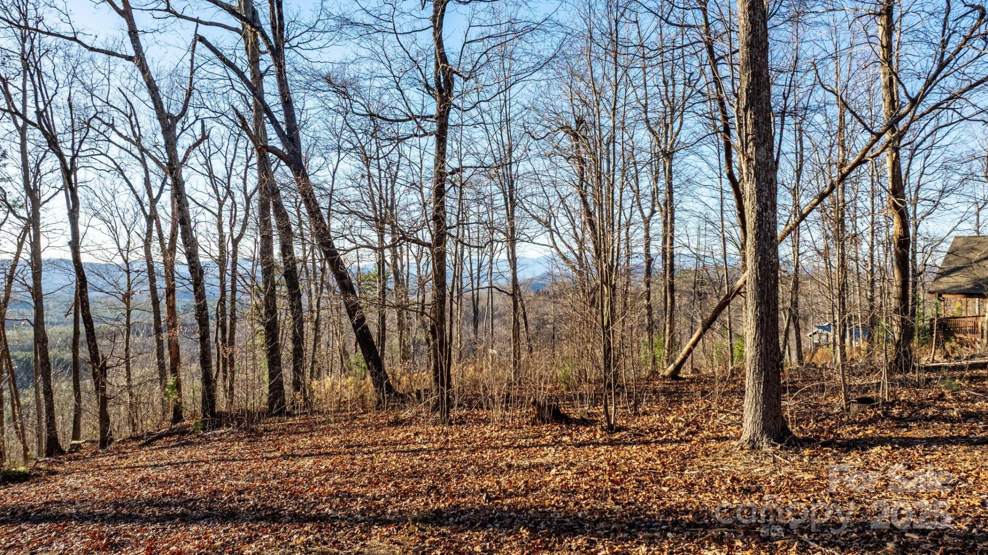 183 Woodgate Trail #103 - Photo 15