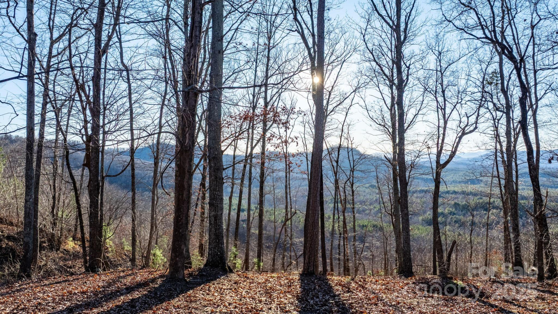 183 Woodgate Trail #103 - Photo 16