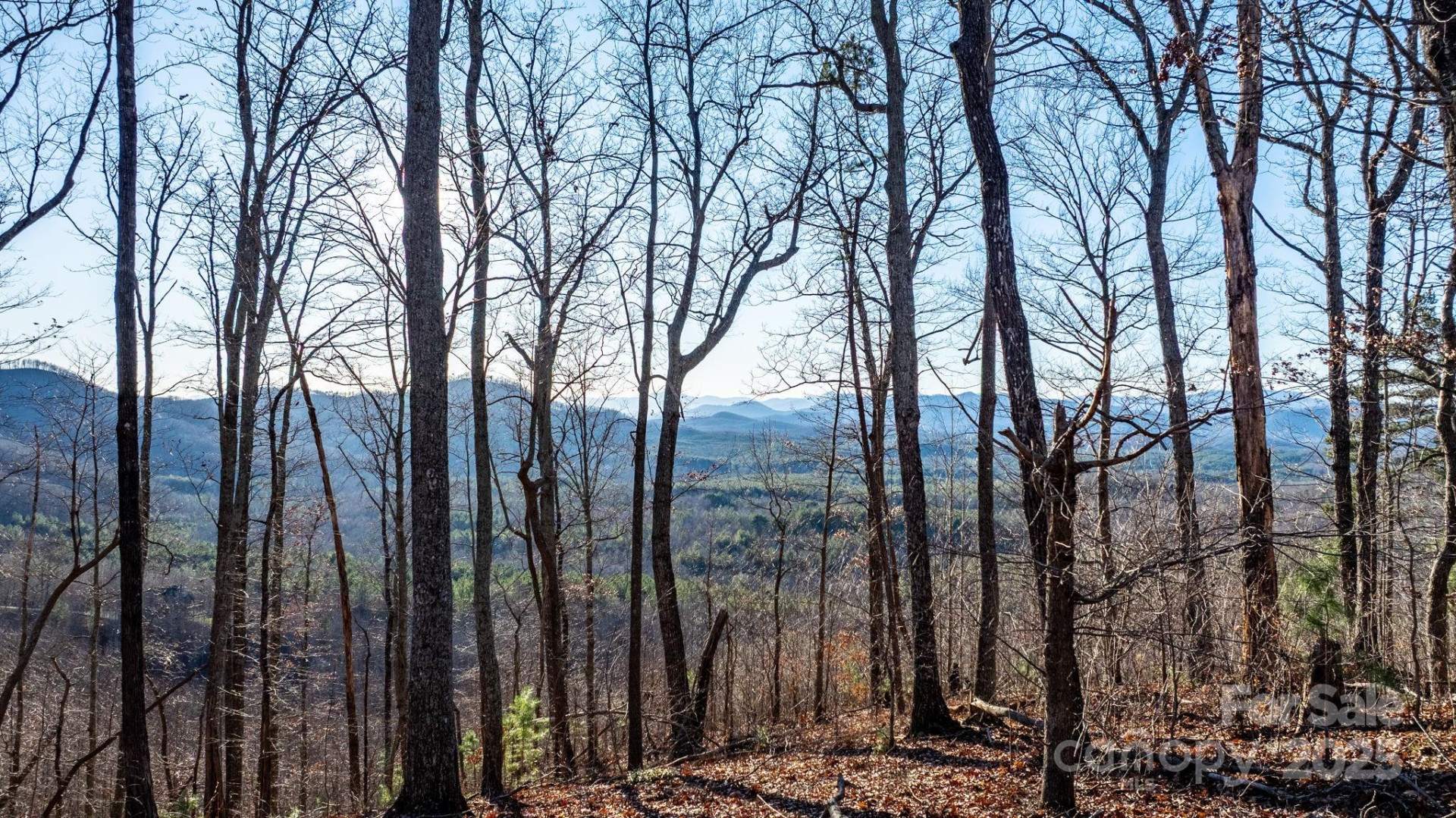 183 Woodgate Trail #103 - Photo 17