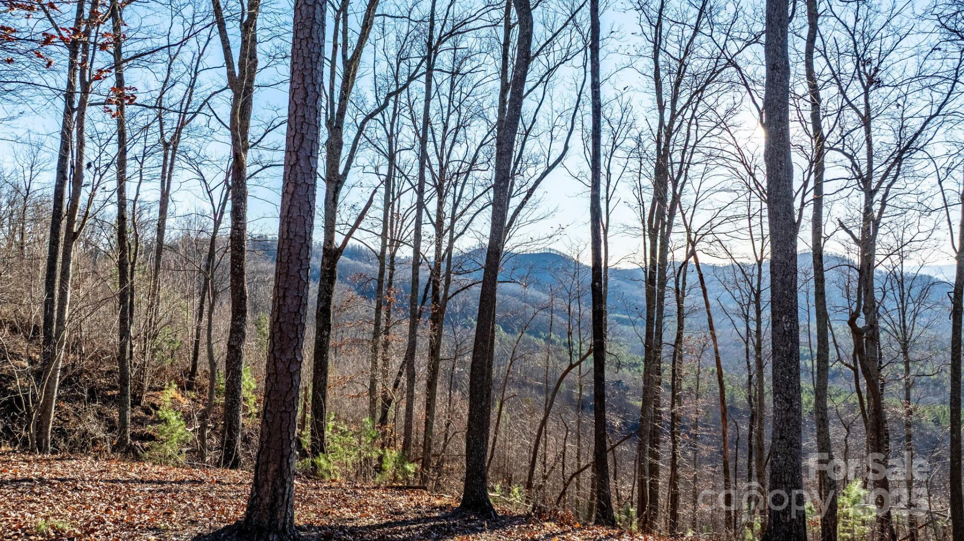 183 Woodgate Trail #103 - Photo 18