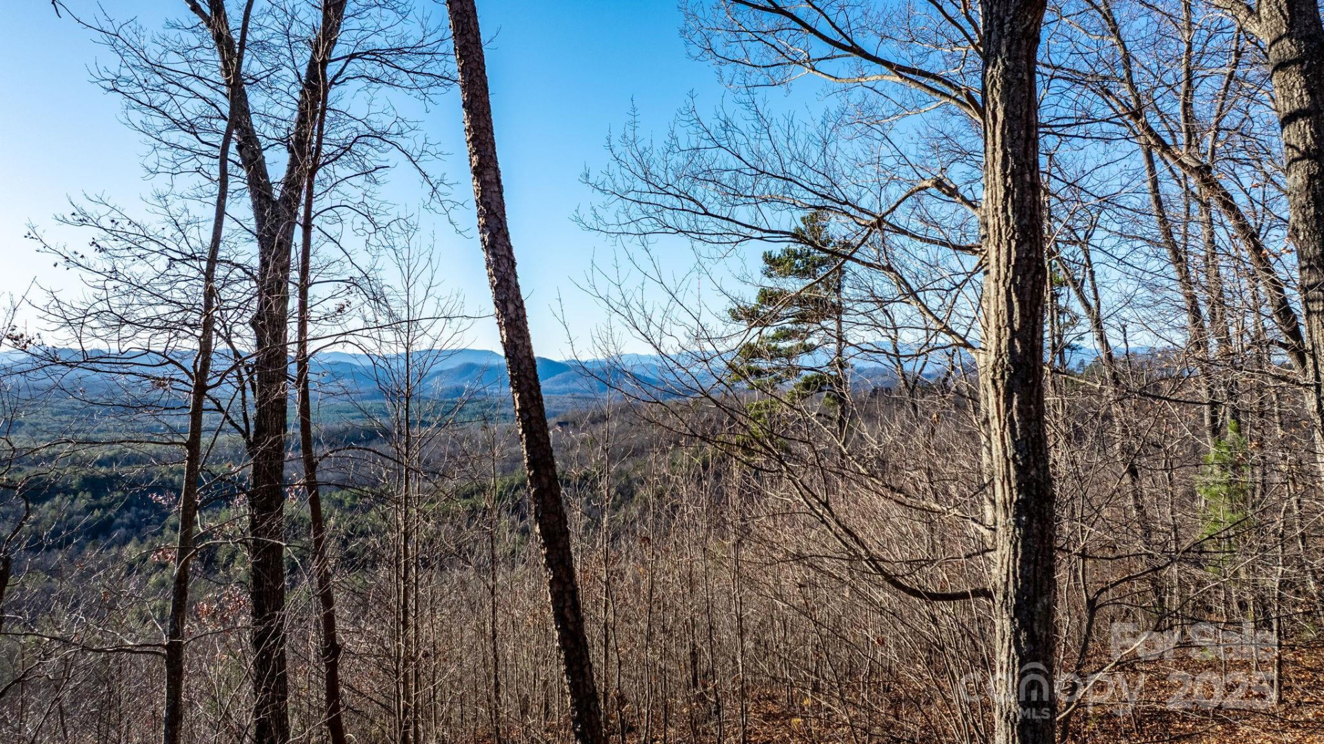 183 Woodgate Trail #103 - Photo 19